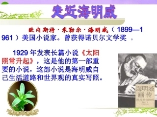 九年级语文上册-海明威的对话艺术课件-北师大版