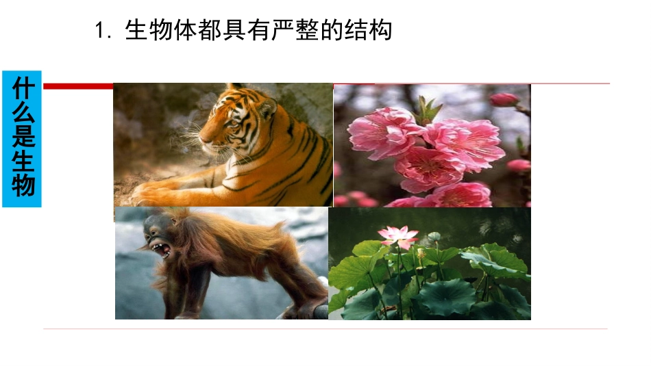 科学家访谈-探索生物大分子的奥秘-(7)_第2页