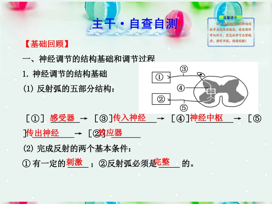 江苏省2013年高考生物-热点预测-5.2动物和人体生命活动的调节精品课件_第2页