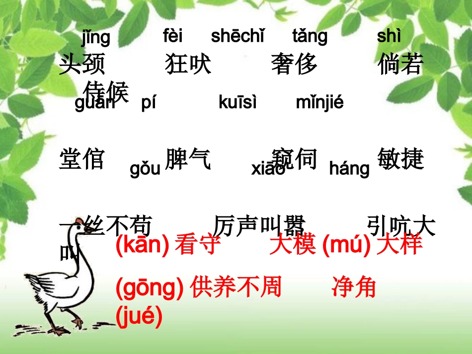 《白鹅》课件_第2页