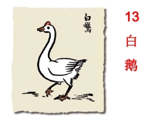 《白鹅》课件