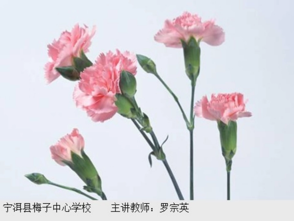 (部编)初中语文人教2011课标版七年级下册《陋室铭》教学课件-(3)_第1页