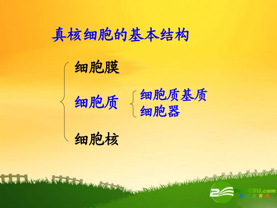 高中生物：第三章第二节细胞器-系统内的分工合作复习课件人教版必修1_第2页