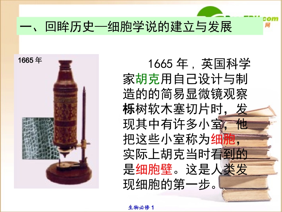 高一生物-3.1《生命活动的基本单位—细胞》课件-苏教版必修1_第3页