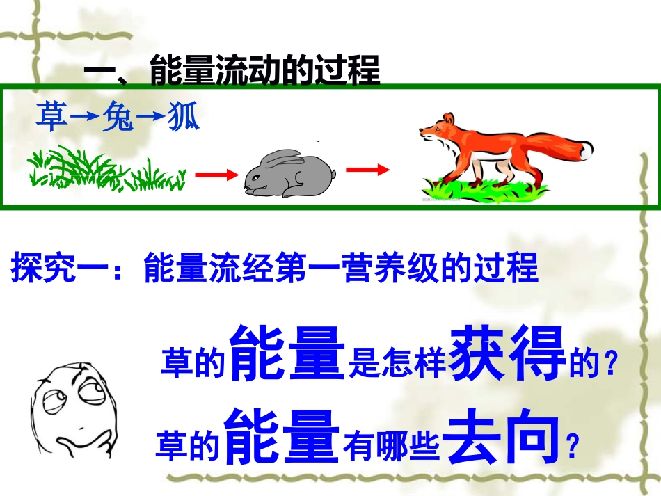 生态系统中的能量流动-(2)_第3页