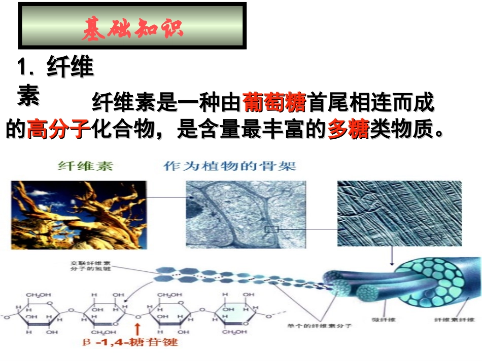 课题3-分解纤维素的微生物的分离-(2)_第3页