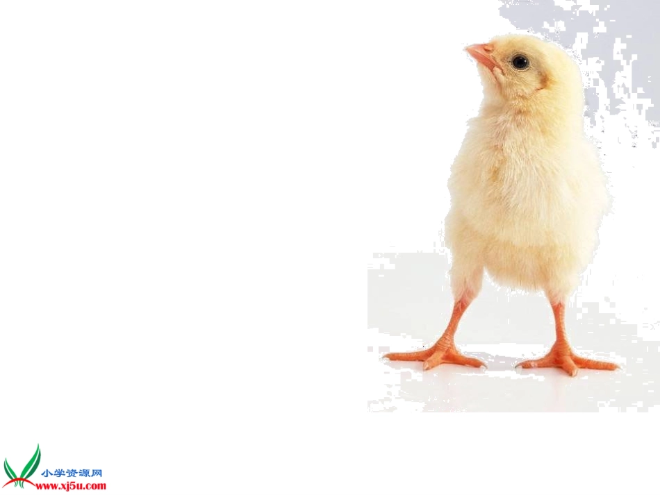 《世界多美呀》PPT_第1页