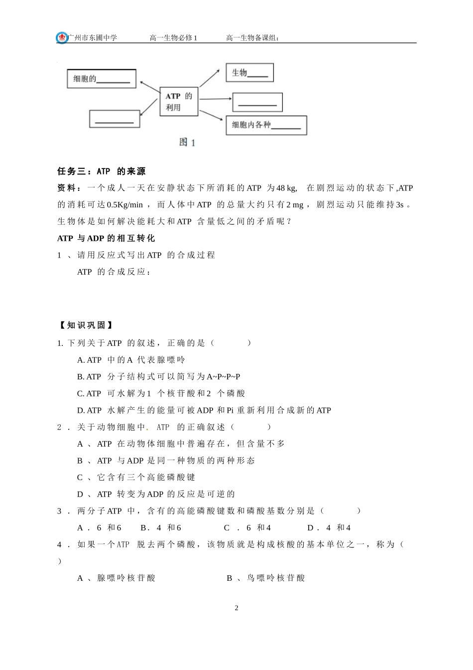 生命活动的能量“通货”——ATP-(3)_第2页