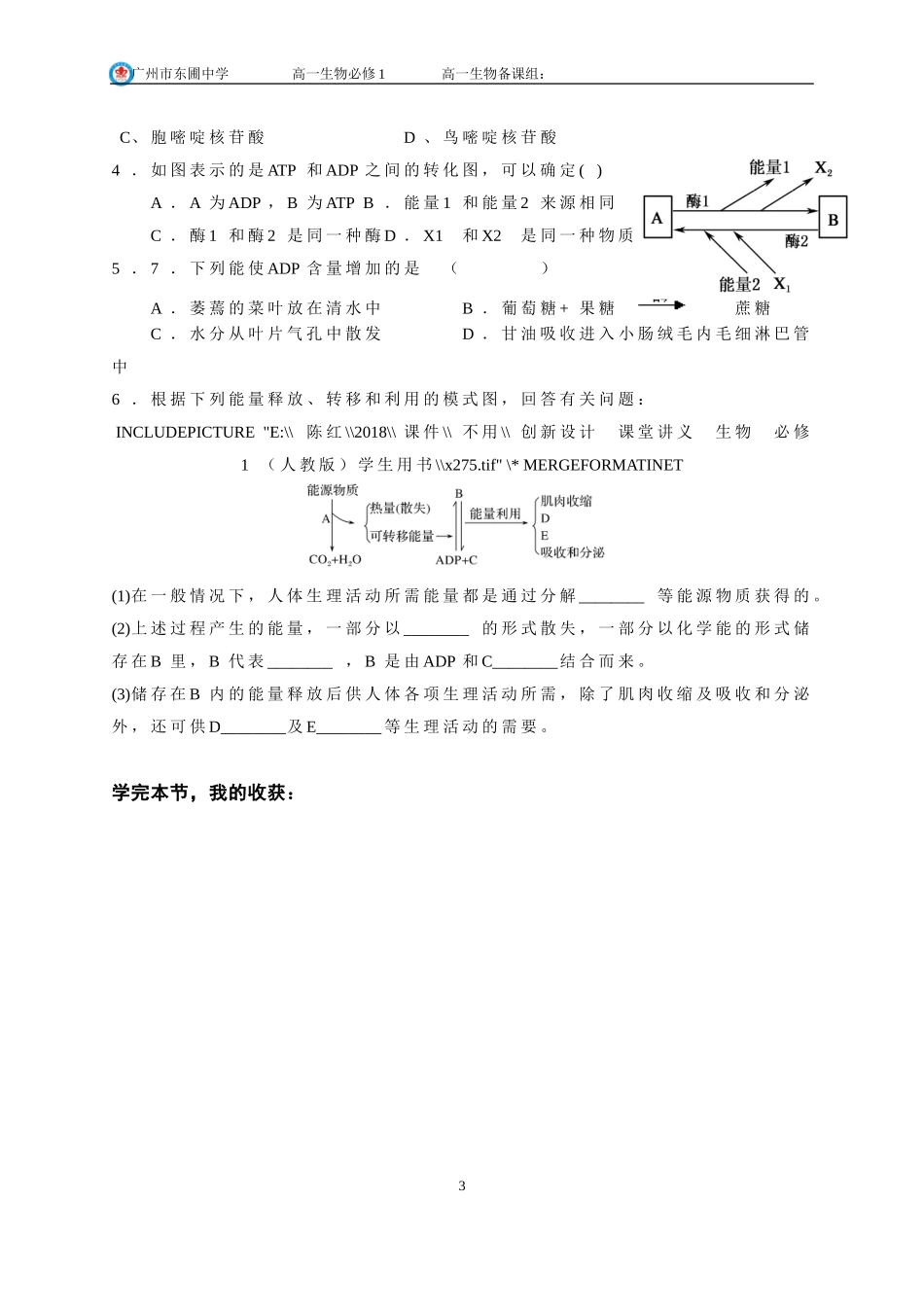 生命活动的能量“通货”——ATP-(3)_第3页