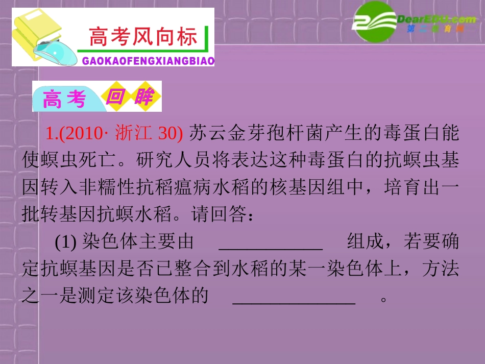2012届高中生物总复习第一轮-1.1分离定律(1)课件-浙科版新课标必修2_第2页