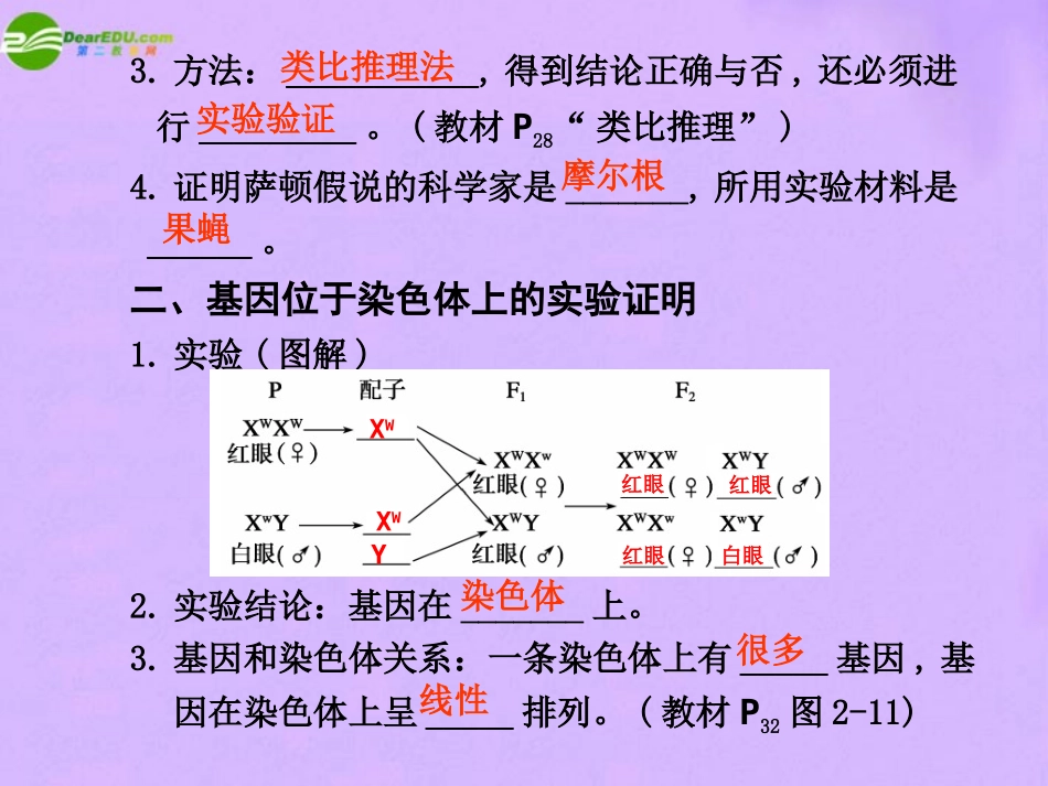 2011届高考生物-考点专题复习课件17_第3页