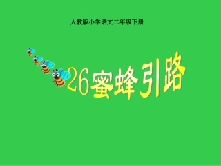 26课、蜜蜂引路课件