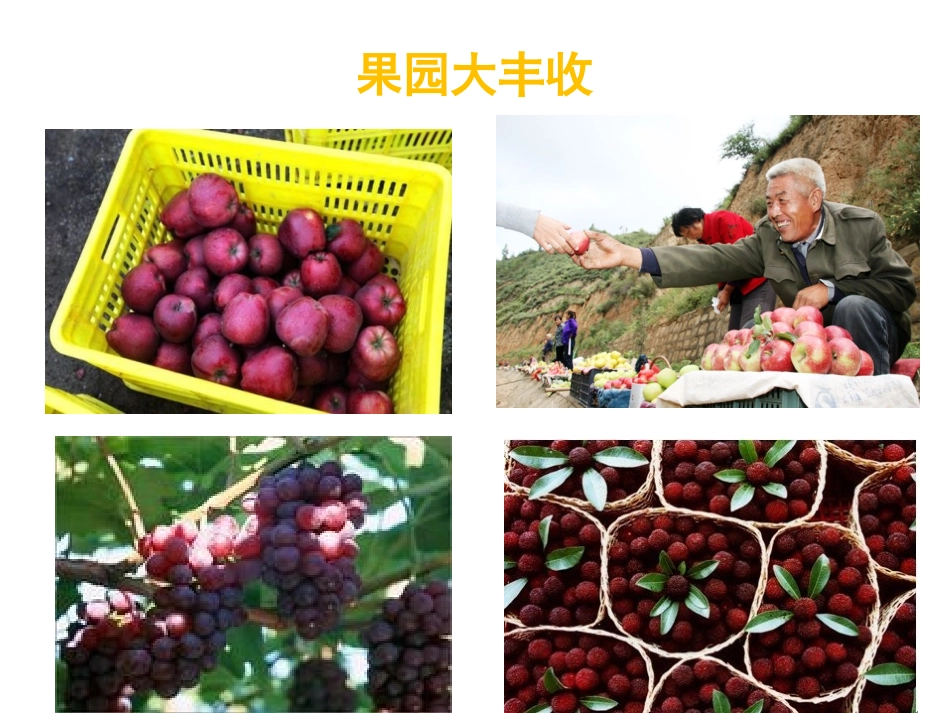 《丰收之歌》课堂导入_第3页