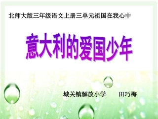 意大利的爱国少年