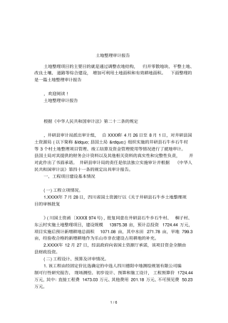 土地整理审计报告