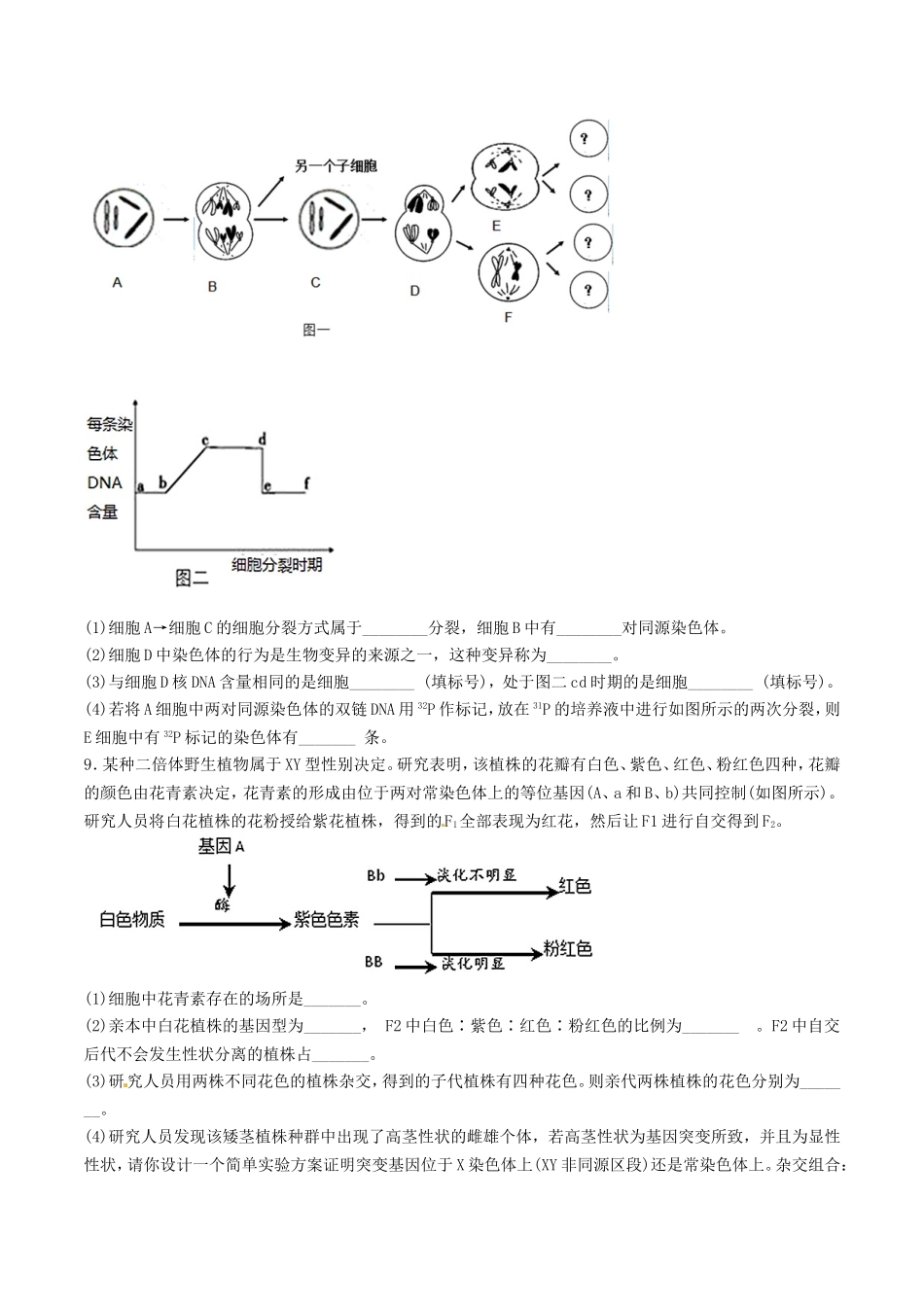 宁夏银川市第二中学2016届高三1月月考生物试题解析(原卷版)_第3页