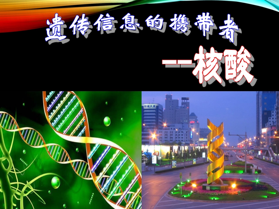 铜仁二中郭智遗传信息的携带者——核酸》课件_第1页