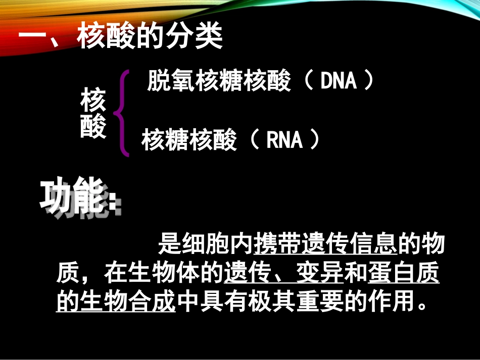 铜仁二中郭智遗传信息的携带者——核酸》课件_第3页