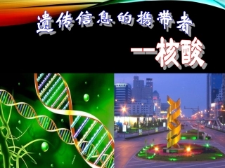 铜仁二中郭智遗传信息的携带者——核酸》课件