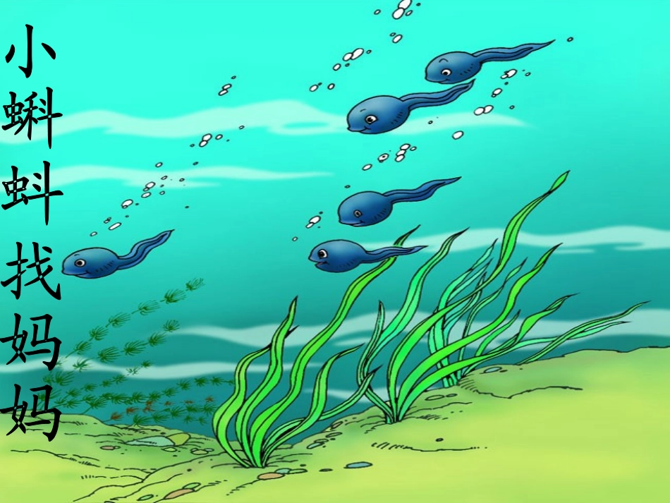 小蝌蚪找妈妈2_第1页
