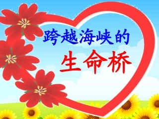 22-跨越海峡的生命桥新123