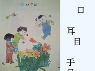 (部编)人教2011课标版一年级上册口耳目-(7)