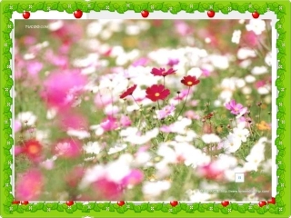 四年级语文《种一片太阳花课件》