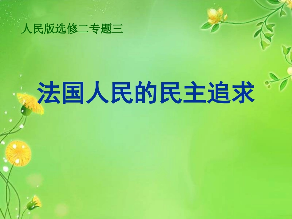 法国人民的民主追求_第3页