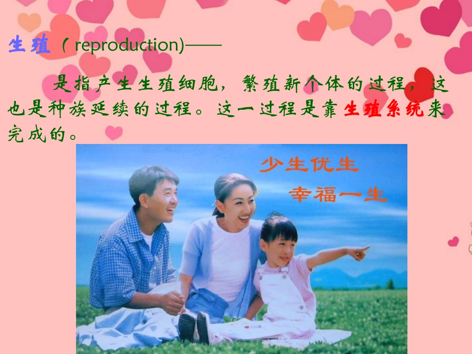 天津市佳春中学七年级生物《人的生殖》课件_第3页