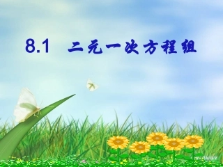 二元一次方程组课件-(2)