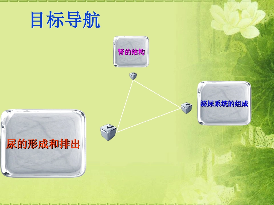 课件尿液的形成和排出_第2页