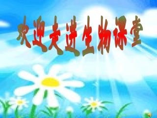 课件尿液的形成和排出