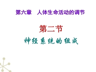 七年级生物下册第六章第二节神经系统的组成ppt-