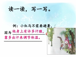 《谁跟小羚羊去避暑》课后练习第2题