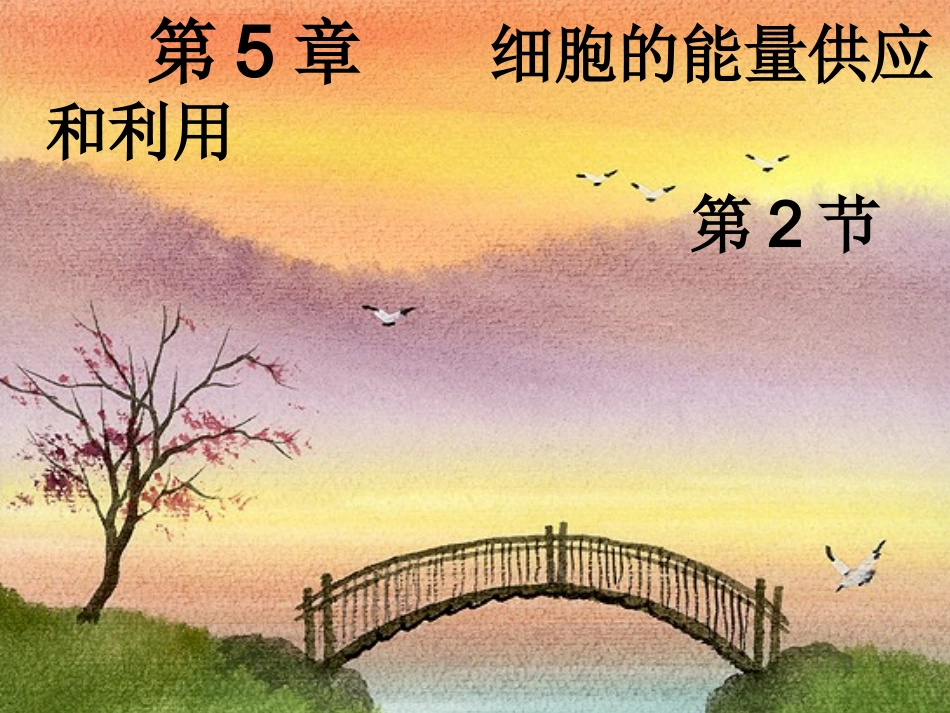 高中生物：5.2细胞的能量通货—ATP课件人教版必修1_第1页