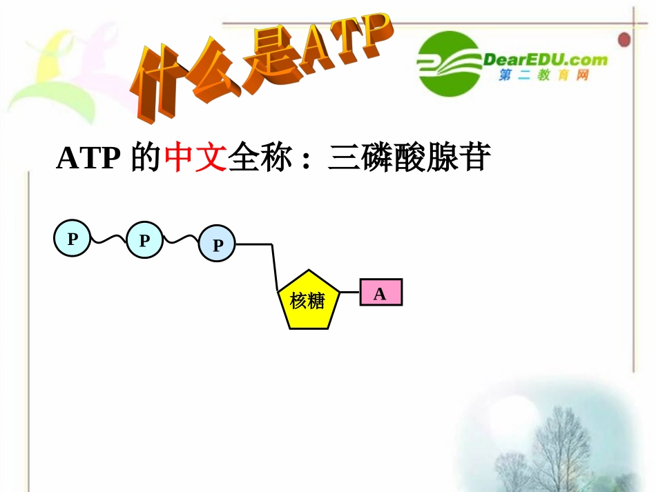 高中生物：5.2细胞的能量通货—ATP课件人教版必修1_第3页