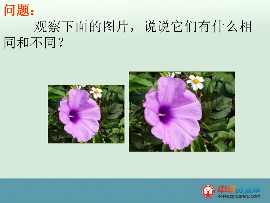 相似图形性质._第2页