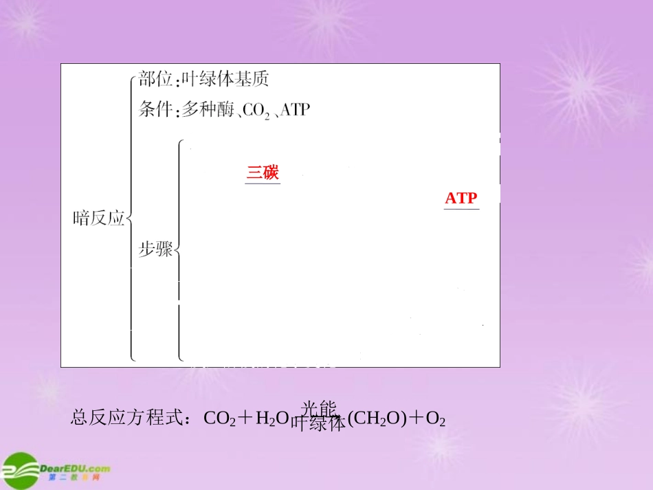 《金版》高中生物-第四单元-第二节光合作用的过程及影响因素(2)课件-苏教版必修1_第3页