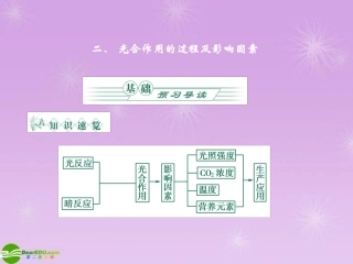 《金版》高中生物-第四单元-第二节光合作用的过程及影响因素(2)课件-苏教版必修1