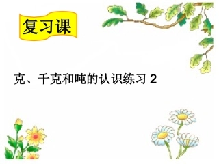 第9课时《克、千克和吨的认识练习》
