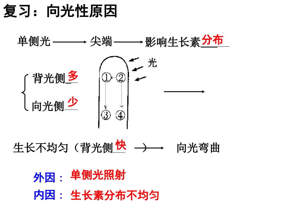 生长素的特性与生理作用_第1页