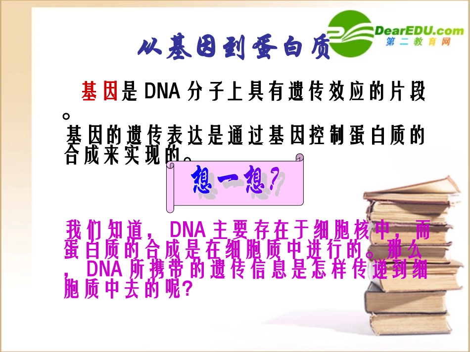 高中生物基因控制蛋白质的合成课件苏教版必修2_第2页