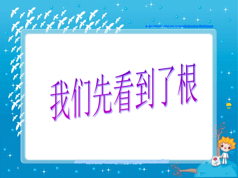 《我们先看到了根》教学课件_第1页