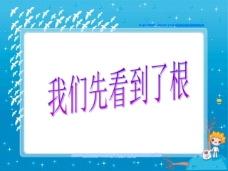 《我们先看到了根》教学课件