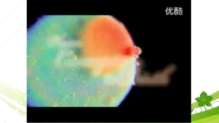 第3节生物体的结构层次
