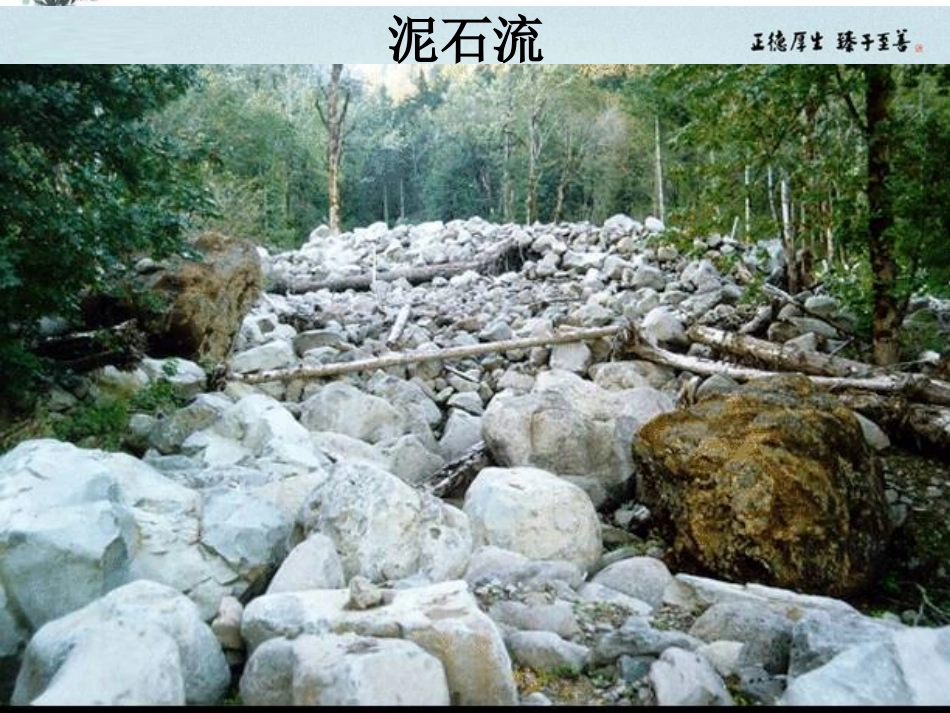 浙江省湖州市南浔中学高一地理《第四节-自然灾害对人类的危害》课件-湘教版_第3页