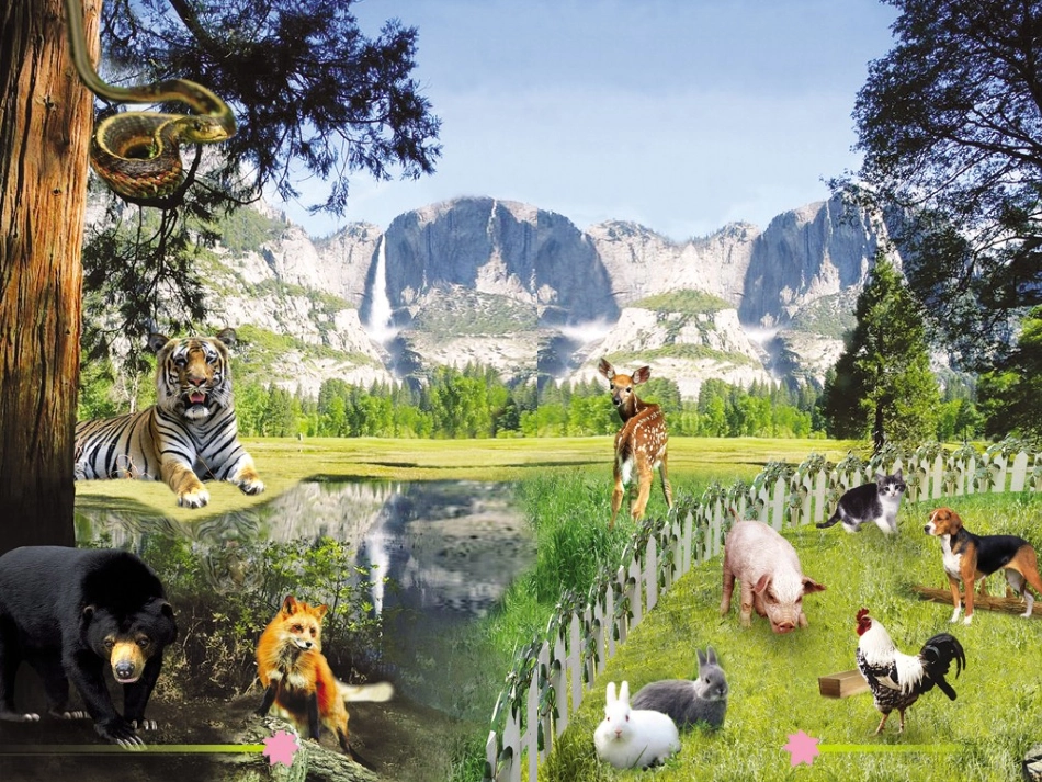 9、动物乐园_第2页