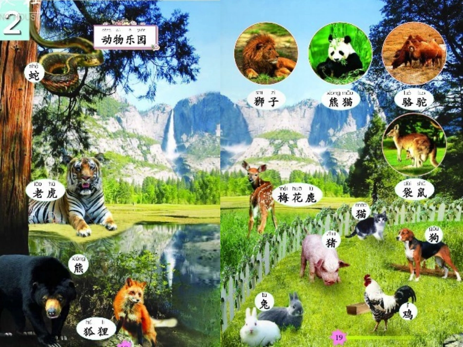 9、动物乐园_第3页