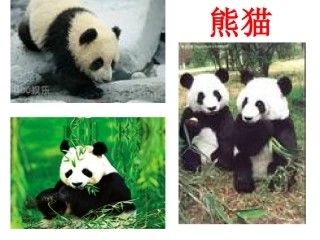 9、动物乐园