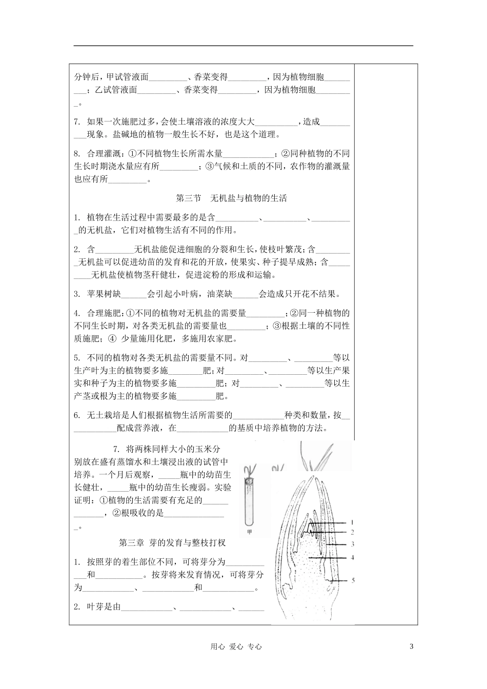 河北省定州市兴华西路中学八年级生物上册-期末总复习系列-01《植物》学讲稿(无答案)-冀教版_第3页